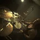Lion "Dirty Noisy Fingers" Photo 4