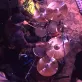 Robb Hoffman Photo 6