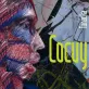 Cocuy