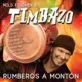 Rumberos a monton-- grabado en Rotterdan  Holanda (Nils Fischer & Timbazo